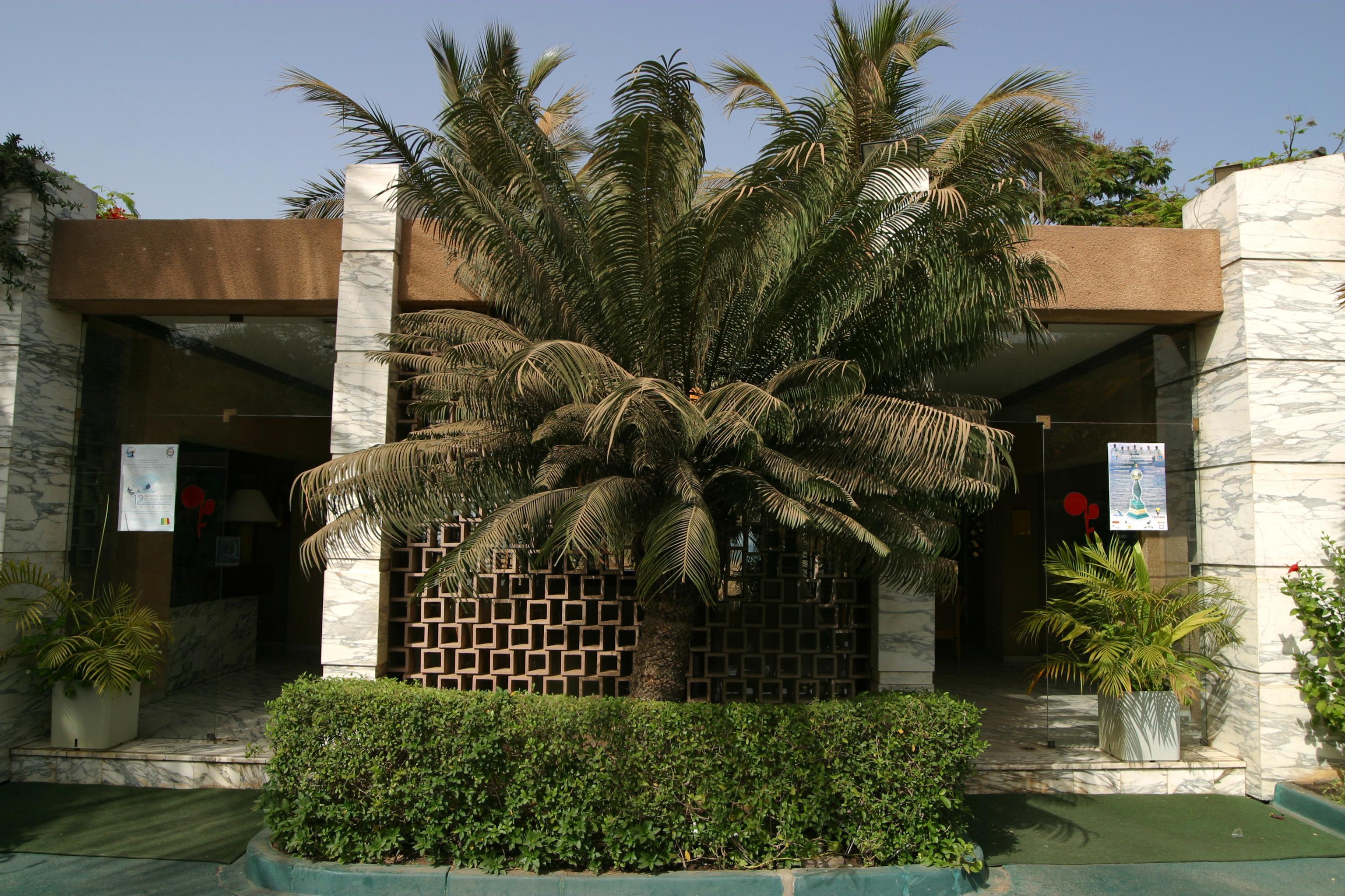 Hotel Jardin Savana Dakar Exteriör bild
